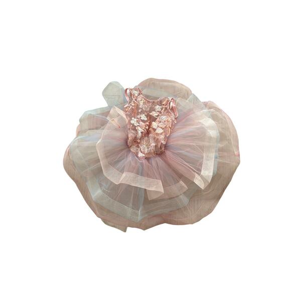 Revolution Dancewear Meadow Garden Ballet Costume Tutu Dress Pink Floral - Picture 5 of 10